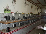 Bild 1 von 4